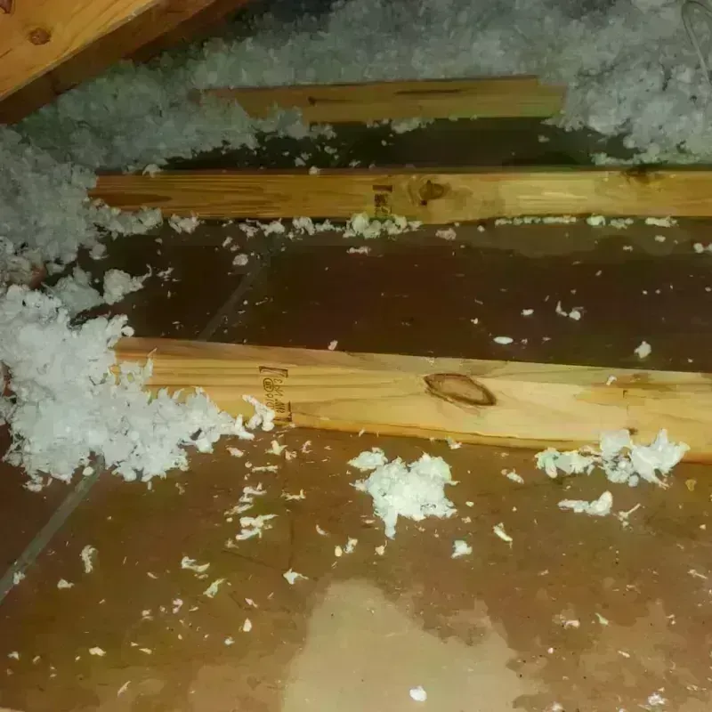 Attic Water Damage in Plainville, MA